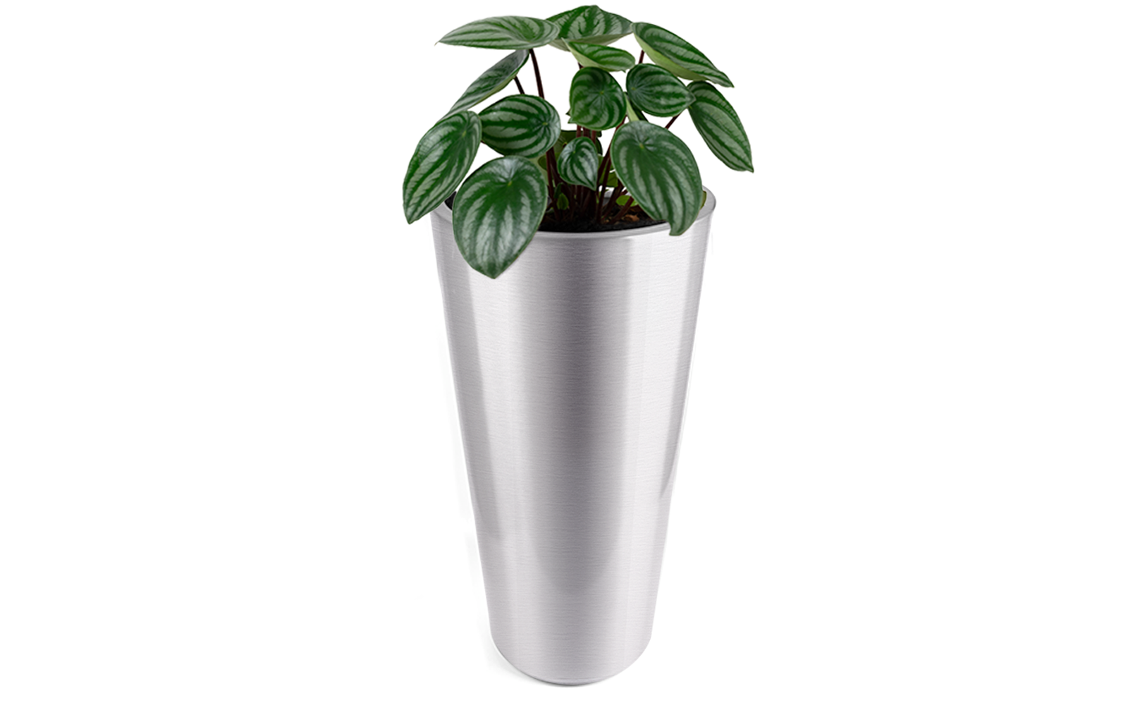 Stainless Steel Plant Pots | Silver Classic Conica Planter